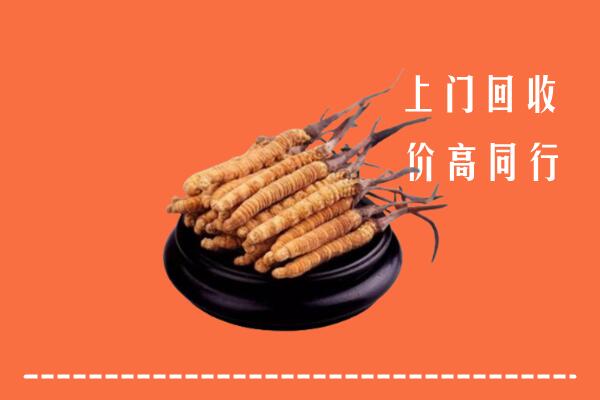 高价求购：上城回收散虫草
