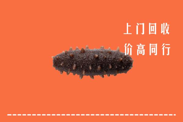 高价求购：上城回收海参