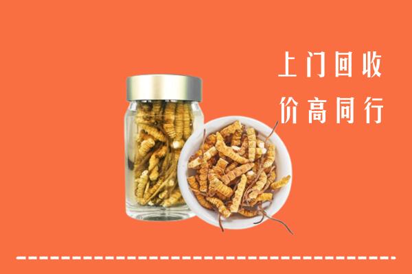 上城回收冬虫夏草