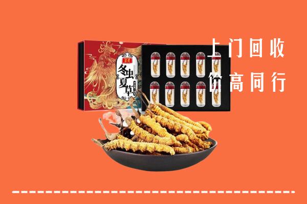 上城回收虫草